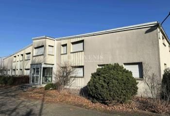 Bâtiment d'activité à louer Hoerdt - Zone industrielle