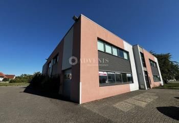 Location bureaux Bischoffsheim - Proche gare et autoroutes