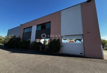 Local d'activité à louer Bischoffsheim - Parc d'Activités du Stade