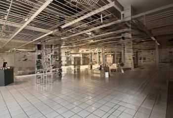 Local commercial à louer Portet-sur-Garonne - Zone dynamique