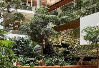 Location bureaux Paris 9 - Proximité Métro Grands Boulevards