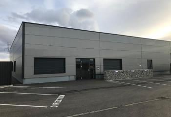 Bâtiment d'activité à vendre Sainte-Croix-en-Plaine - Accès poids lourds