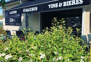 Vente local commercial Cadaujac - Proche Bordeaux