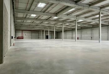 Entrepôt logistique neuf à louer Roissy-en-France - Proximité aéroport CDG