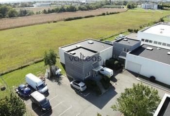 Local d'activité à louer Quint-Fonsegrives - Proche rocade et bus