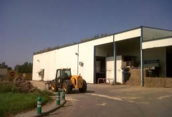 Local d'activité à louer Cazères - Proche réserve foncière