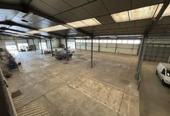 Local d'activité à vendre Saint-Pierre-des-Corps - Proche A10 et gare