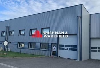 Local d'activité à louer Toulouse Sud - Proche A64 et rocade