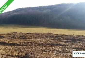 Terrain industriel à vendre Châtillon-le-Duc - Proche Autoroute