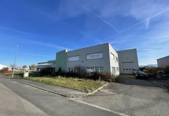 Site industriel et tertiaire à vendre Rumersheim-le-Haut - Proche autoroutes