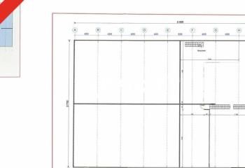 Local d'activité à vendre L'Union - Proximité A68