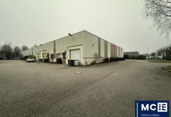 Local d'activité à louer Schiltigheim - Proximité axes autoroutiers et BHNS
