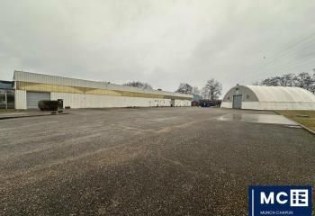 Locaux indépendants à vendre Duppigheim - Proche gare