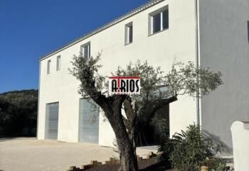 Local d'activité neuf à louer Solliès-Pont - Proche autoroute A57