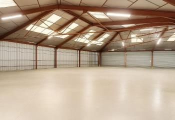 Vente local d'activité Pins-Justaret - Proche Portet-sur-Garonne