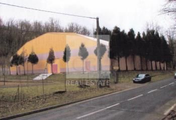 Entrepôt à vendre Genay - Proche A46