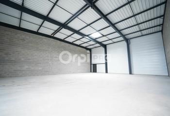 Local d'activité à louer Saint-Vulbas - Proche A42