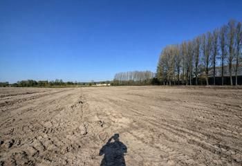 Terrain industriel à vendre Petite-Synthe, Dunkerque - A16 et Port