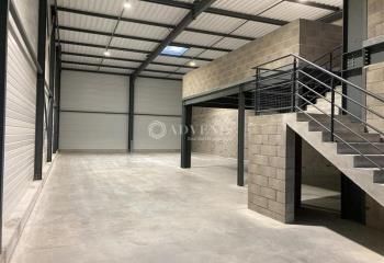 Cellule d'activité à vendre Souffelweyersheim - Proche A4/A35