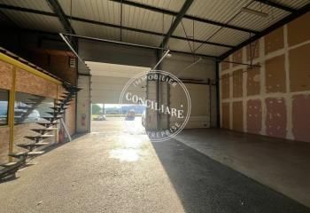 Location entrepôt Beaupuy - Proche rocade et A68