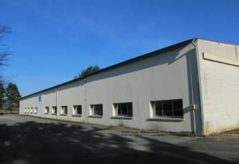 Bâtiment industriel à vendre Biesles - Zone industrielle Saint Roch