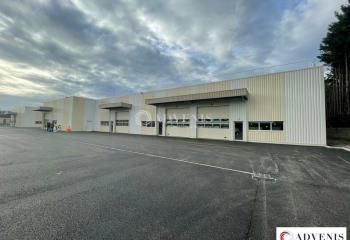 Local d'activité neuf à louer Blanquefort - Proche bus et sécurisé