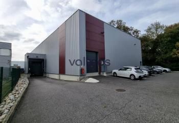 Location entrepôt Quint-Fonsegrives - Zone artisanale - Bus 83