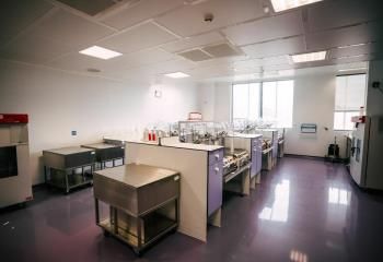 Bâtiments de production pharmaceutique à vendre Huningue - Proche A35