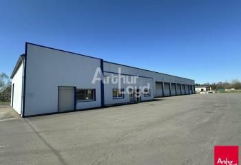 Local d'activité à vendre Romagné - Proche A84 - 20 400 m² de foncier