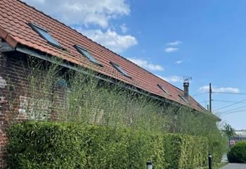 Local commercial à vendre Wambrechies - 415 m²