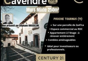 Bâtiment mixte à vendre Tournus - 250 m²