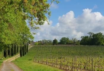 Hôtel 4 étoiles à vendre Yvrac - Proche RN89