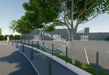 Local d'activité à vendre Muret - Accès direct + autoroute