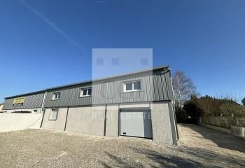 Location local d'activité neuf Luzinay - Proche D36/N7