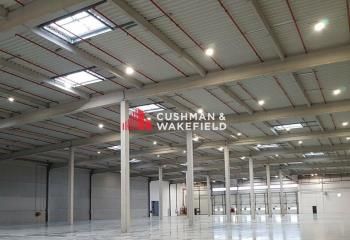 Location entrepôt logistique Montbartier - Accès A20/A62