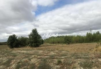 Terrain industriel Bressols - accès direct A20