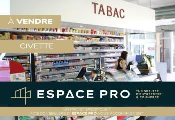 Civette à vendre Lisieux Pays d'Auge