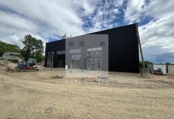 Location activité/entrepôt - 223 m²