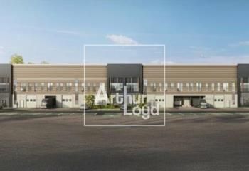 Locaux neufs à louer Wissous - A6/A10 - Hauteur 10,5 m