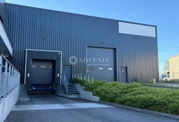 Location entrepôt Molsheim - Zone industrielle Hardt