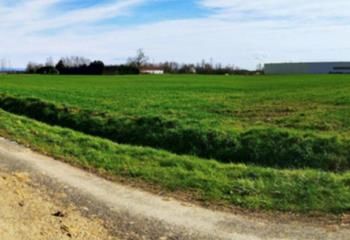 Terrain économique Saint-Genis-sur-Menthon - accès A40 immédiat