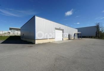 Location local d'activité Ternay - Proche A46/A7