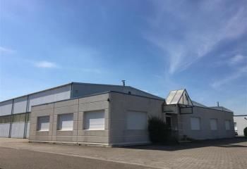Location local d'activité Vendenheim - Proche axes autoroutiers