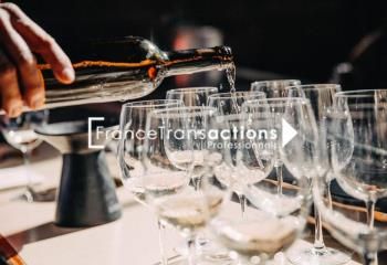 Location local commercial Colomiers - Secteur Airbus