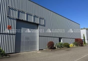 Location local d'activité Bischheim - Proche tram ligne B