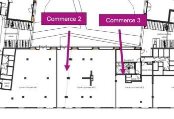 Location locaux commerciaux Grenoble rue Gustave Flaubert