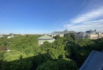 Location bureau Paris 8 - Franklin D. Roosevelt et vue Grand Palais