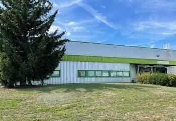 Location local d'activité Colmar - ZI Nord - Accès poids lourd