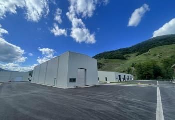 Location local d'activité Thann - Ponts roulants et parking