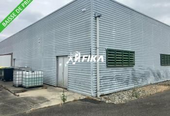 Vente local d'activité Fontenilles - Proche A64 et N124